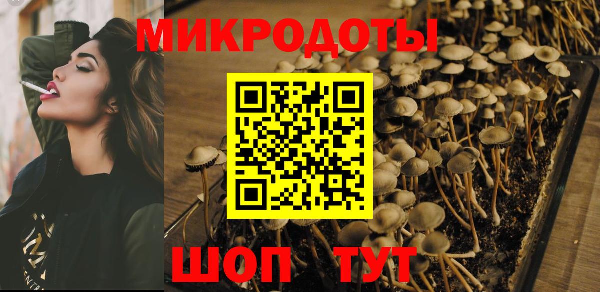 Галлюциногенные грибы Psilocybine cubensis  Вход с VPN  Лысьва 