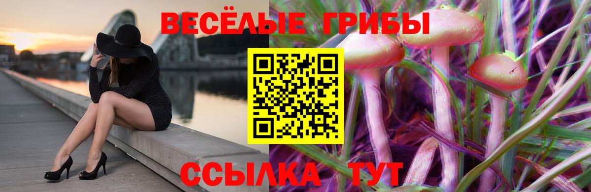 Галлюциногенные грибы Cubensis Лысьва